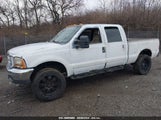 FORD SUPER DUTY F-350 SRW LARIAT/XL/XLT 1FTSW31F01ED11508 photo