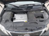 LEXUS RX 350 photo