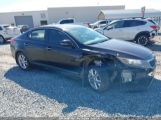 KIA OPTIMA EX photo