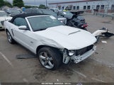 Ford Mustang Gt/Gt Premium 1ZVBP8FH8A5139813 fotografie