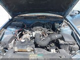 Ford Mustang V6 1ZVHT84N565250504 снимка