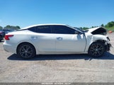 NISSAN MAXIMA 3.5 PLATINUM/3.5 S/3.5 SL/3.5 SR/3.5 SV 1N4AA6AP6HC441664 снимка
