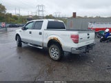 Ford F-150 Fx4/Harley-Davidson/King Ranch/Lariat/Platinum/Xl/Xlt 1FTFW1EV8AFB25538 fotografie