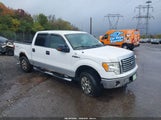 Ford F-150 Fx4/Harley-Davidson/King Ranch/Lariat/Platinum/Xl/Xlt 1FTFW1EV8AFB25538 fotografie