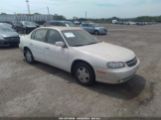 CHEVROLET MALIBU LS photo