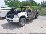 FORD F-250 LARIAT/XL/XLT 1FTSW21P07EB36446 fotografie