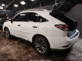 LEXUS RX 350 CRAFTED LINE photo