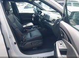 Miniaturka zdjęcia 5