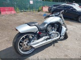 HARLEY-DAVIDSON VRSCF 1HD1HPH179K****** fotografie