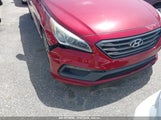 Hyundai Sonata Sport 5NPE34AF8FH034951 снимка