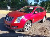 CADILLAC SRX PERFORMANCE COLLECTION снимка