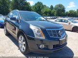 CADILLAC SRX LUXURY COLLECTION снимка