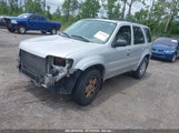 Ford Escape Limited 1FMYU04136KD48183 снимка