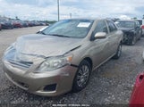 Toyota Corolla Le 1NXBU40E99Z158659 снимка