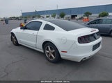 FORD MUSTANG V6 1ZVBP8AM6E5311038 снимка