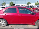 TOYOTA COROLLA LE 1NXBU40E99Z089505 снимка