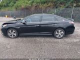 HYUNDAI SONATA HYBRID LIMITED photo