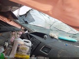 HONDA CIVIC LX 2HGFB2F56EH556658 снимка