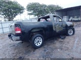 GMC SIERRA 1500 WORK TRUCK 1GTN1TEA6BZ364282 photo