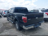 FORD F-150 FX2 SPORT/HARLEY-DAVIDSON/KING RANCH/LARIAT/PLATINUM/XL/XLT 1FTFW1CV5AF****** снимка