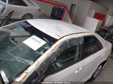 TOYOTA CAMRY HYBRID LE 4T1BD1FK1EU115830 fotografie