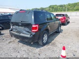 FORD ESCAPE XLT 1FMCU03G79KA21998 снимка