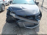 Miniaturka zdjęcia 6