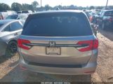 HONDA ODYSSEY EX-L photo