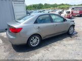 KIA FORTE EX photo