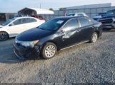 TOYOTA CAMRY LE photo