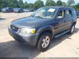 FORD ESCAPE XLT 1FMCU03175KB64245 снимка