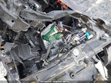 HONDA CIVIC LX 2HGFC2F67LH508864 снимка