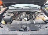 Dodge Charger 2B3KA43T49H548581 fotografie
