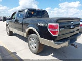 FORD F-150 FX4/HARLEY-DAVIDSON/KING RANCH/LARIAT/PLATINUM/XL/XLT 1FTFW1EV4AFC01594 fotografie