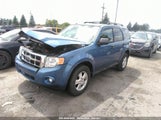 Ford Escape Xlt 1FMCU0D76AKD18439 fotografie