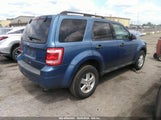 Ford Escape Xlt 1FMCU0D76AKD18439 fotografie