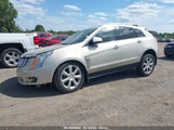 Cadillac Srx Performance Collection 3GYFNHE39DS555096 снимка