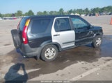 Miniaturka zdjęcia 4