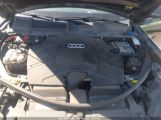 AUDI Q7 PREMIUM PLUS 55 TFSI QUATTRO TIPTRONIC photo