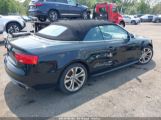 AUDI S5 3.0T PREMIUM PLUS WAUC4AFH1GN****** fotografie