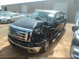 FORD F-150 XLT 1FTEW1CM6CF****** fotografie