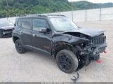 JEEP RENEGADE TRAILHAWK 4X4 снимка