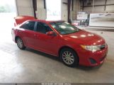 TOYOTA CAMRY LE photo