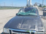 FORD RANGER XLT 1FTKR1AD6BPA71512 снимка