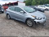 HYUNDAI ELANTRA SE photo