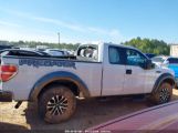 FORD F-150 XL photo