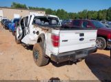 FORD F-150 XL photo