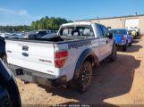 FORD F-150 XL photo