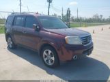 HONDA PILOT EX-L photo