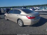 HONDA ACCORD EX-L photo